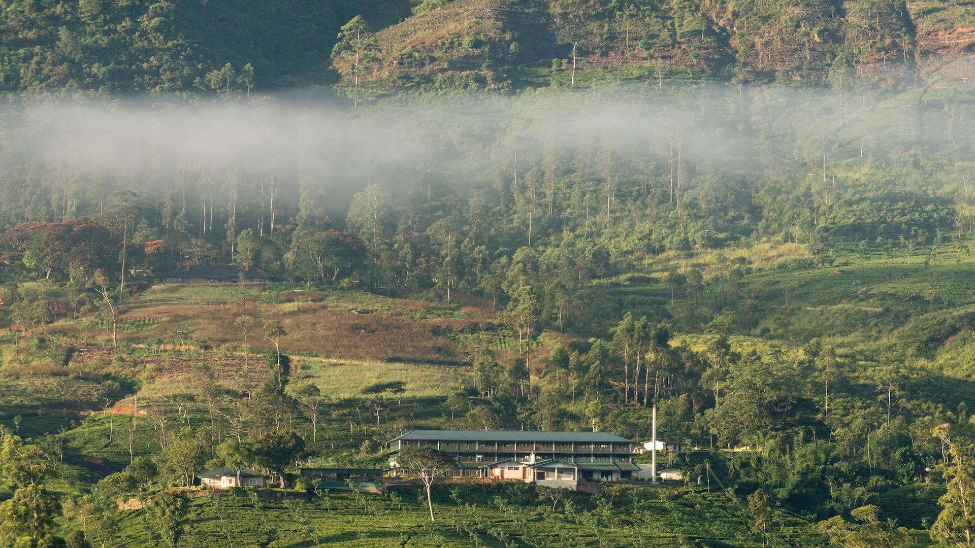 Tea Trails Sri Lanka 2014